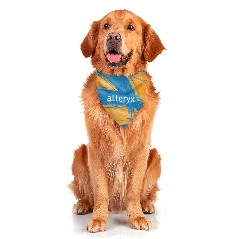 Xxl best sale dog bandana