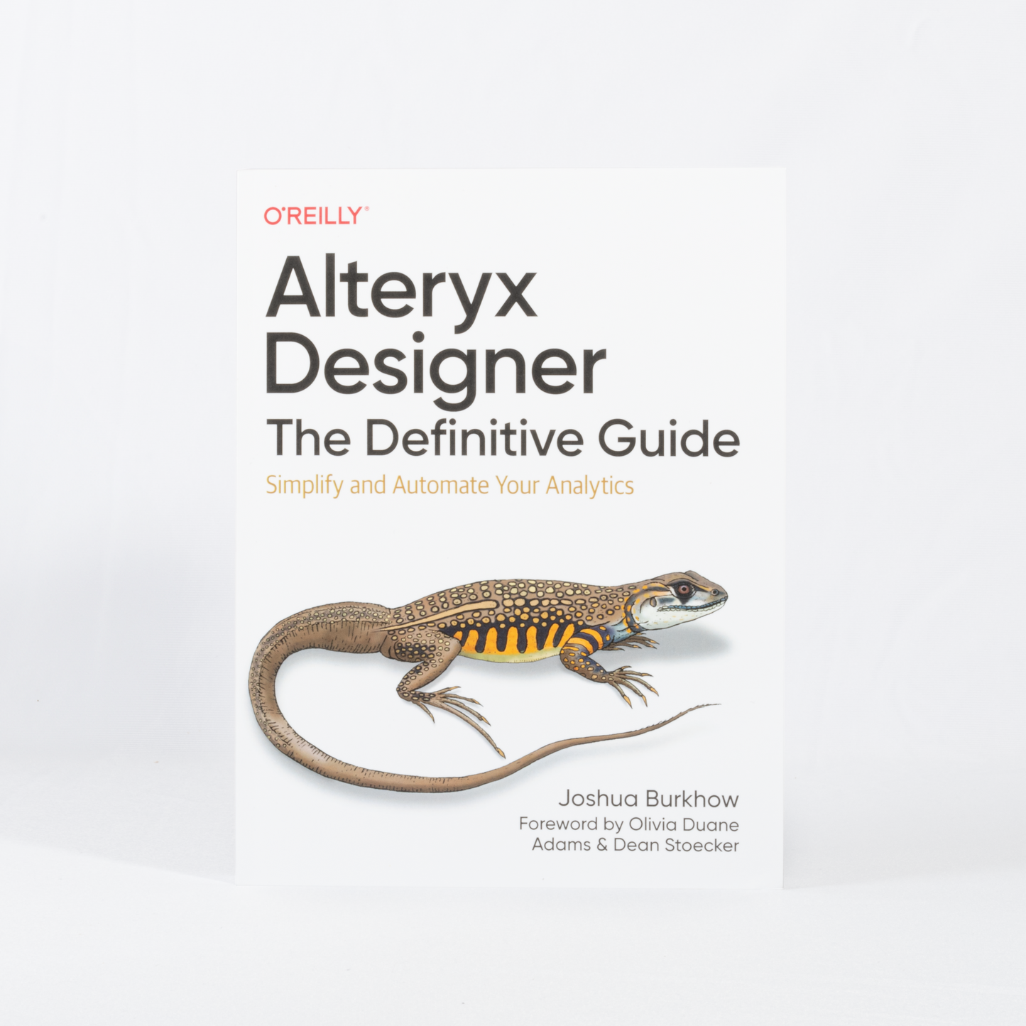 Alteryx Designer: The Definitive Guide, 1Ed