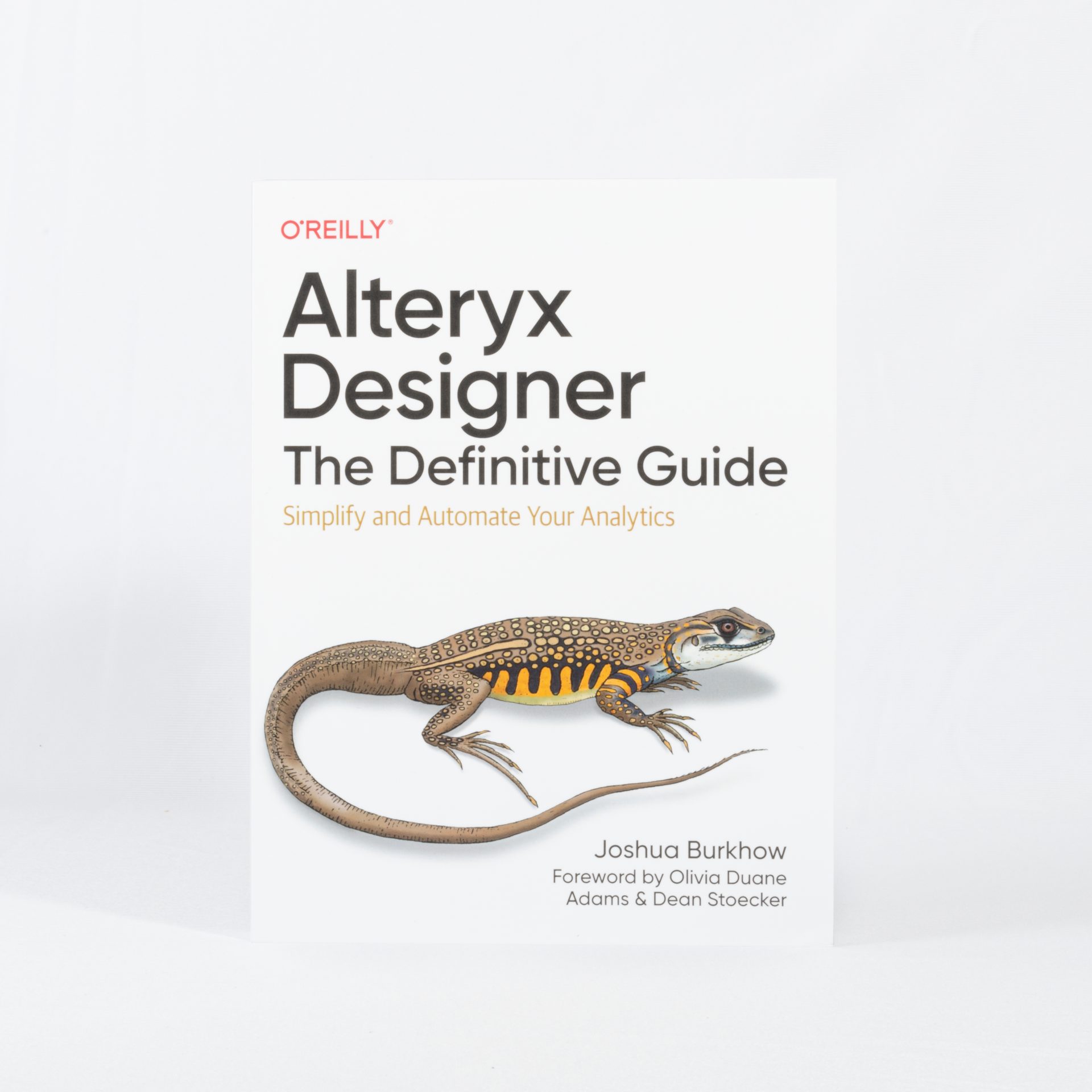 Alteryx Designer: The Definitive Guide, 1Ed – Alteryx Swag Store