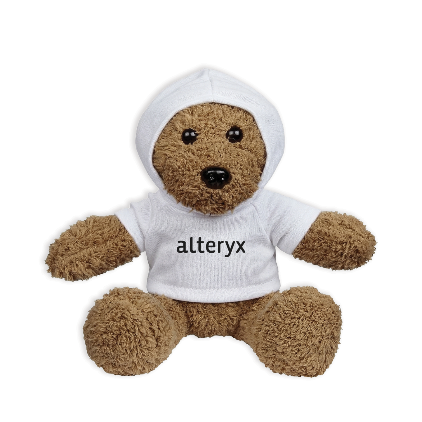 Al The Rag Bear 2.0