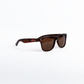 Tortoise Shell Sunnies