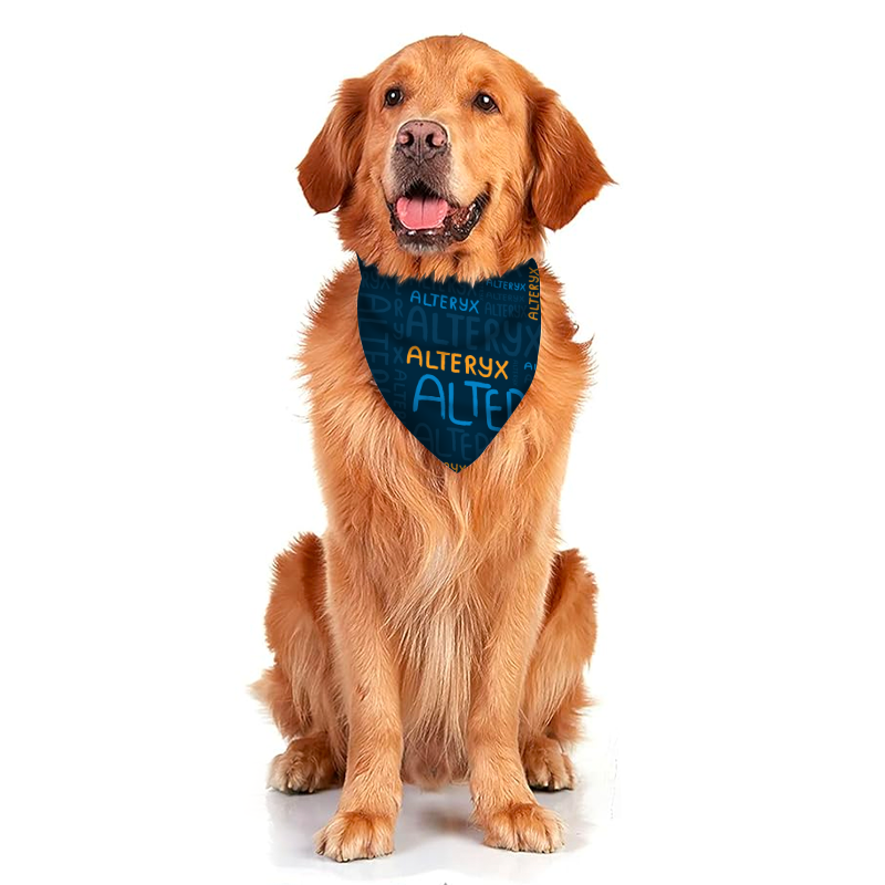 Large Dog Bandana - Alteryx Step & Repeat